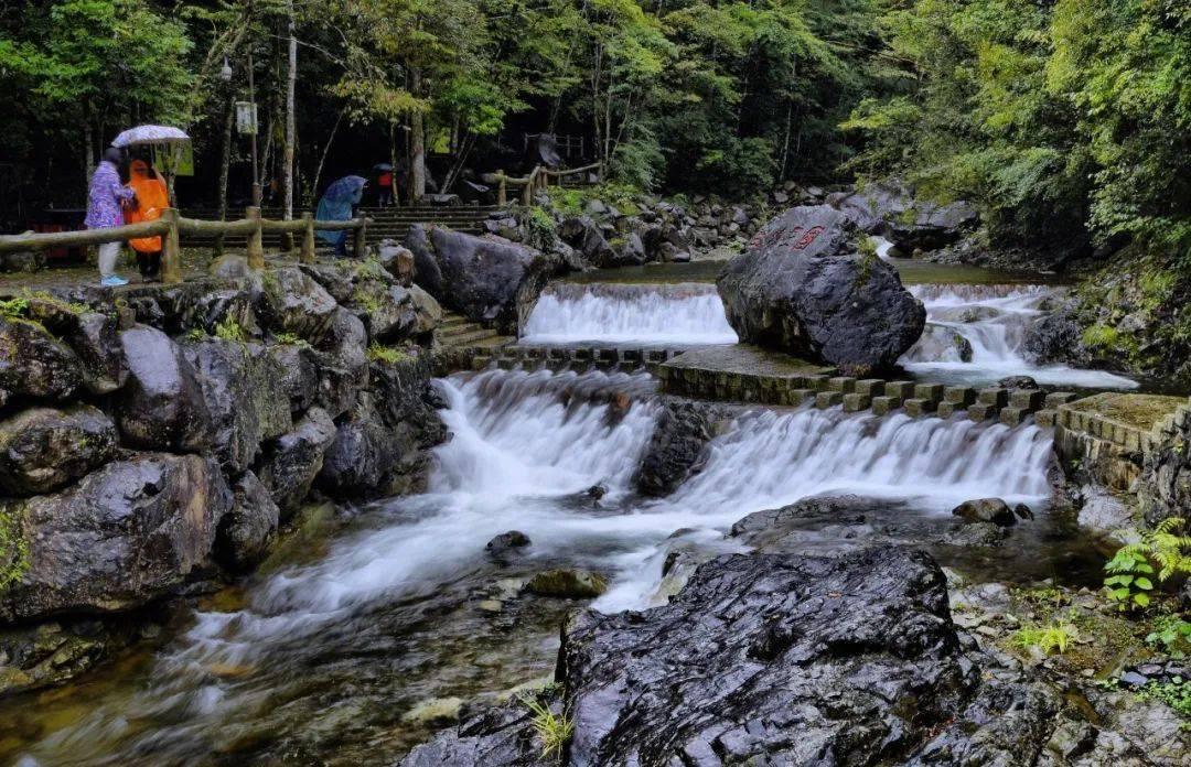 小兔子大冒险